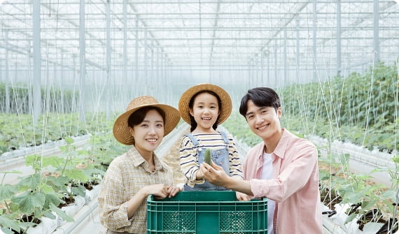 [화제]친환경 천연살충제 ‘달마시안 제충국’ 재배하는 채의수씨？<충남 천안>